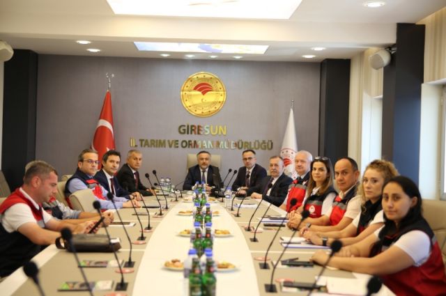 Giresun'da B-Reçete ve kahverengi kokarca masaya yatırıldı