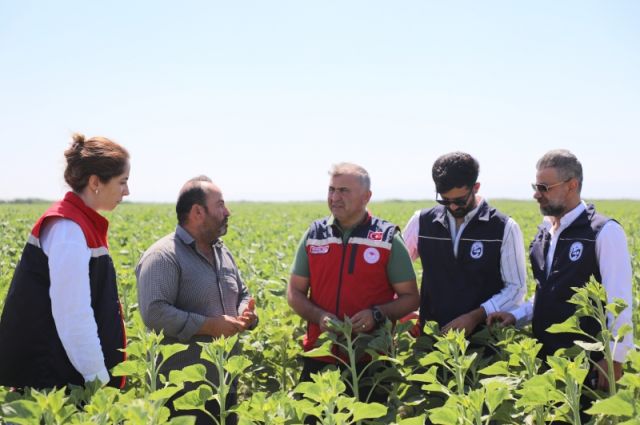 Hatay Büyükşehir 151 Üreticiye Ayçiçeği Tohumu Desteği Sağladı