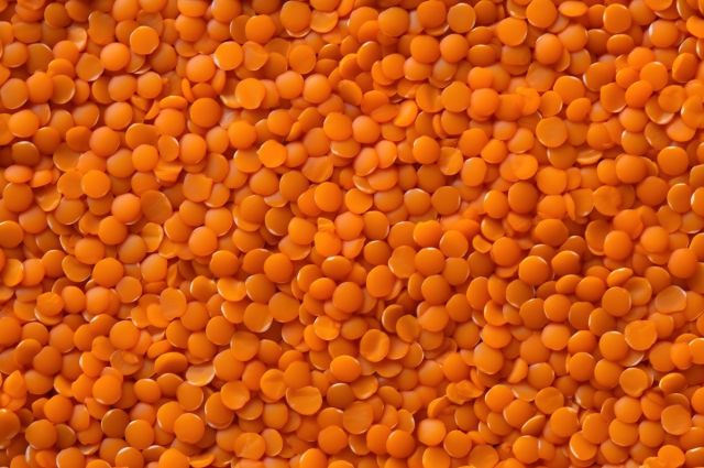 IGC: Dünya mercimek üretimi 9,4 milyon tona inecek