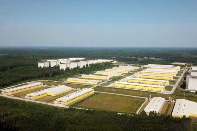 İHA saldırısı Rusya'nın büyük yumurta üreticisini etkiledi