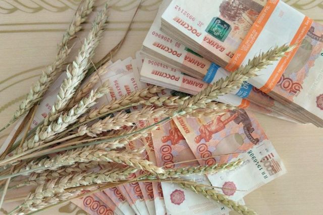 Kazakistan'da buğday fiyatları yükselişini sürdürüyor