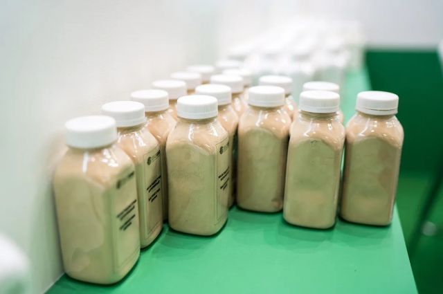 Rus araştırmacılar patates nişastasından biyoplastik üretti