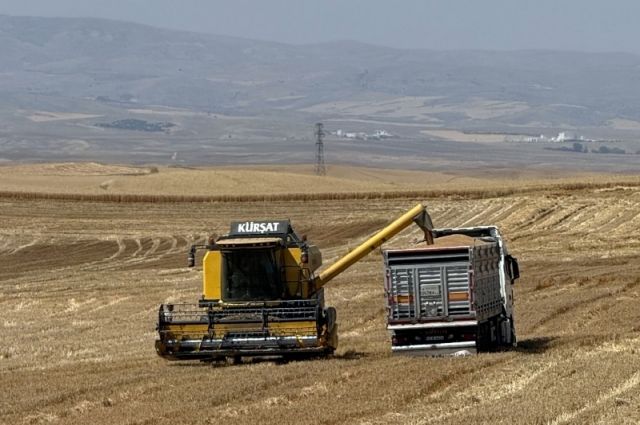 TMO: 12,2 Milyar Lira Hububat Ödemesini Hesaplara Aktardı