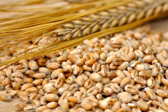 Agrocereale: Moldova'da Arpa Fiyatları Hasatla Geriledi