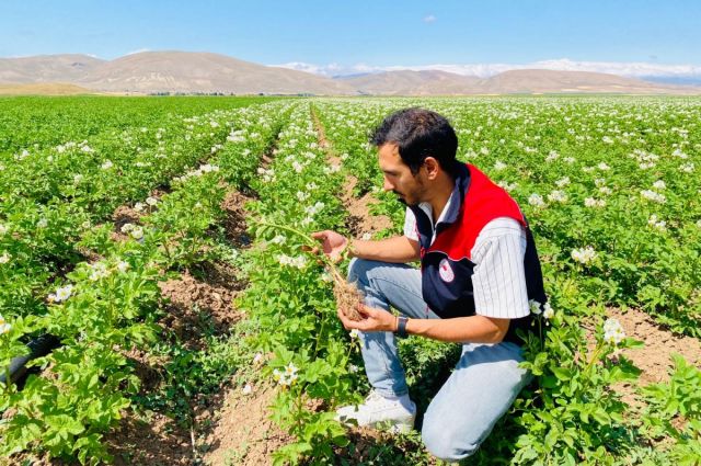 Bayburt'ta Patateste Karantina Hastalığına Rastlanmadı