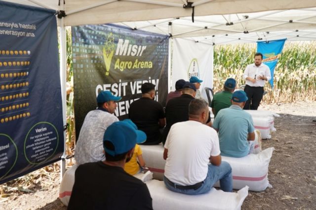 Bayer, Hatay’da mısır çözümlerini üreticilerle buluşturdu