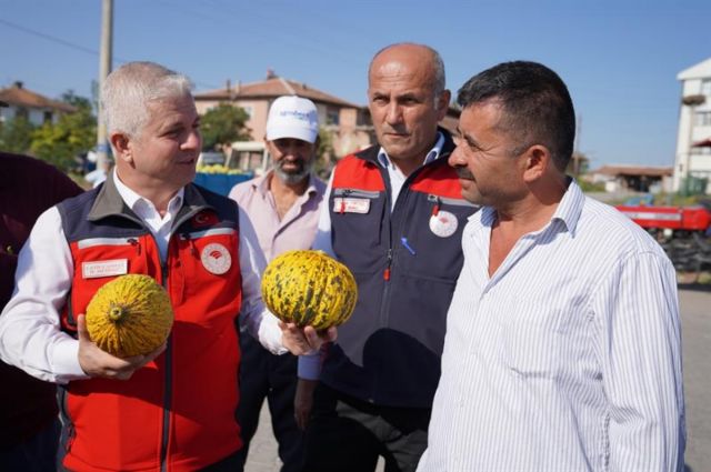 Çankırı Kızılırmak’ta Kavun Hasadı Başladı
