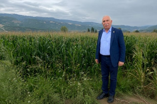 CHP Tokat Milletvekili Durmaz: Mısır fiyatı 17 TL olmalı