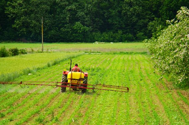 CropLife Europe: AB'de 93 pestisit etken maddesi yasaklandı