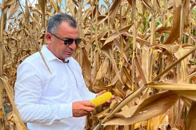 Emir Kayhan: Kozan’da mısır alım fiyatı en az 17 TL olmalı