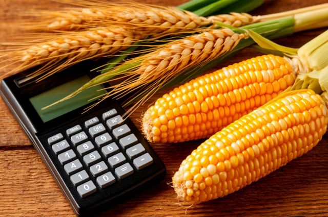 FAO açıkladı: Buğday ve mısır fiyatları temmuzda arttı