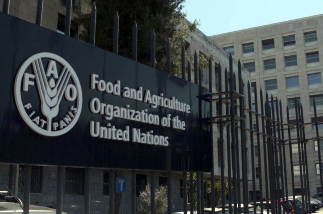 FAO: Dünya gıda fiyat endeksi temmuzda yüzde 0,6 yükseldi