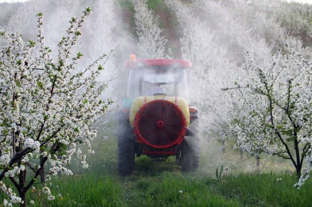 FAO: Dünya pestisit kullanımı 2023'te 3,73 milyon ton oldu