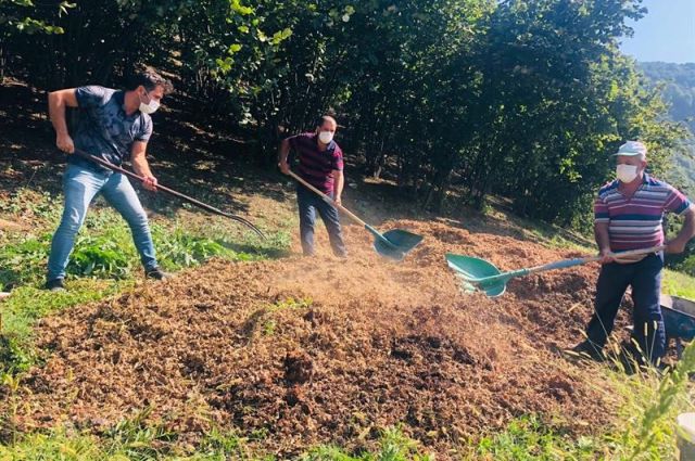 Giresun İl Tarım Müdürlüğü’nden fındık zurufu uyarısı