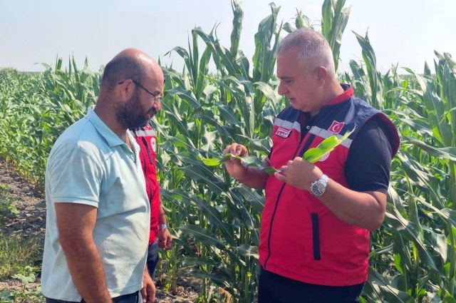 Hatay Tarım Müdürü Türkmen Antakya’da üreticileri ziyaret etti