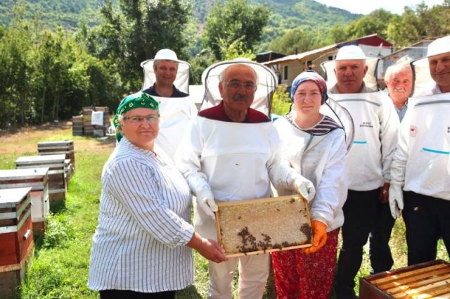 Ordu Büyükşehir Belediyesi arıcılara Varroa desteği verecek
