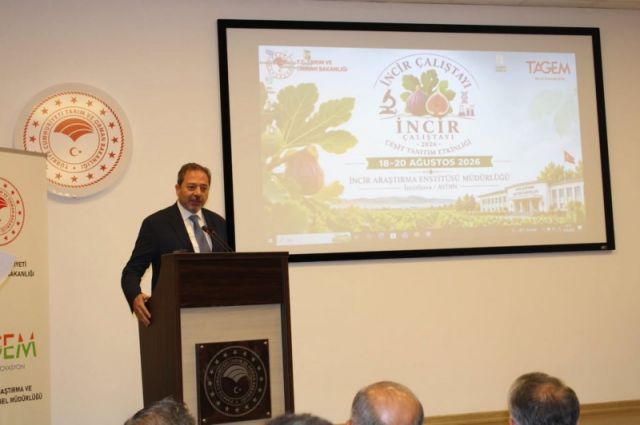 TAGEM, Aydın’da incir için 100 milyon liralık AR-GE istedi