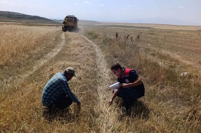 Tarım Müdürlüğü Kars’ta biçerdöver denetimlerini sürdürüyor