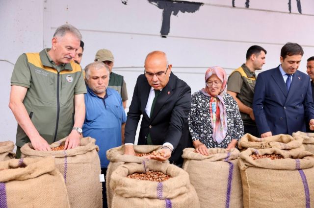 TMO, Giresun’da ilk fındığı 280,50 TL’den aldı