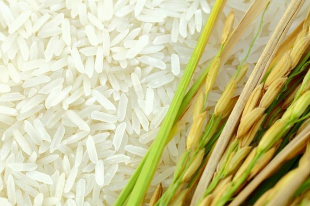 Türkiye, Rus pirincinin en büyük ikinci alıcısı oldu