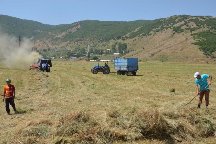 Aydın: Yonca, Korunga Alanında Türkiye Birincisiyiz