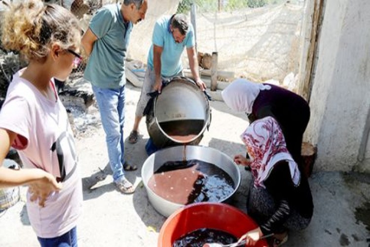 Kara Üzüm Pekmezinin Damaklara Yolculuğu Başladı