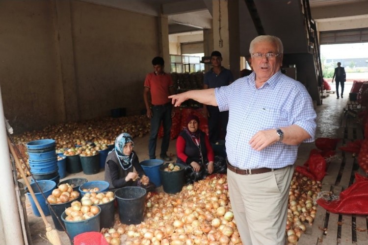 Patates Ve Soğan Fiyatlarıyla İlgili Çok Önemli Açıklama!