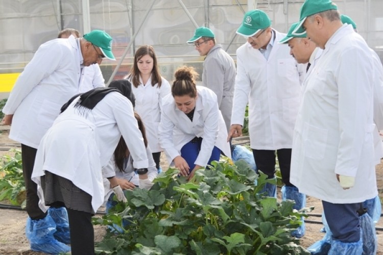 Uluslararası Projeye Avrupa Komisyonu’ndan Tam Destek