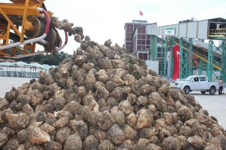 Yedek şirket fiyaskosu! Fabrikalar ortada kaldı