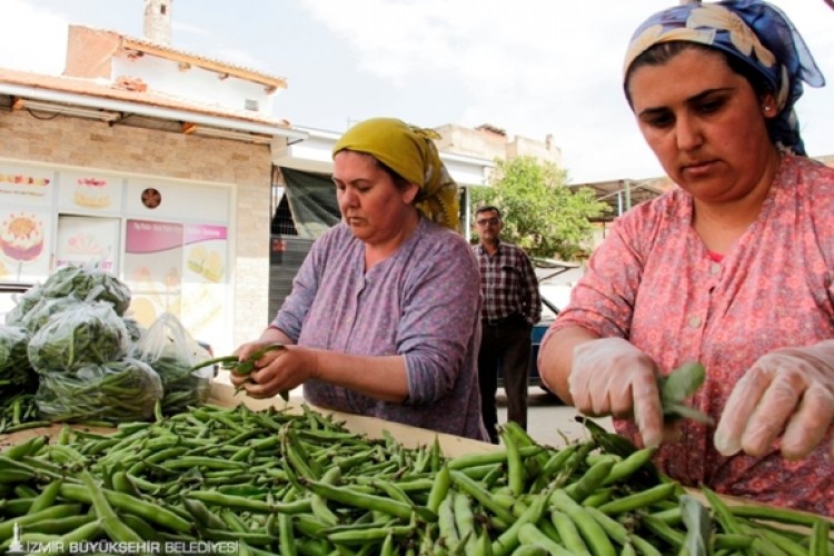 Kaymakçı Baklasına Büyükşehir Desteği