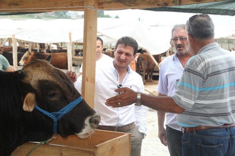 Tarım ve Orman İl Müdürü Kurban Alıcıları ve Satıcılarını Uyardı