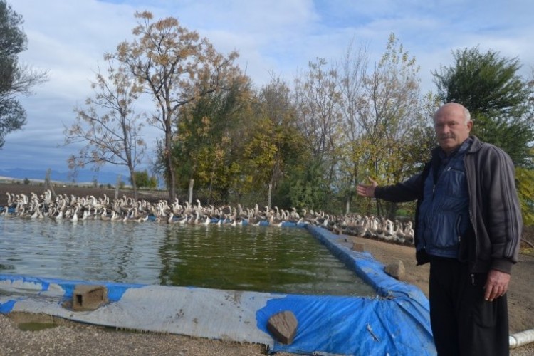 İnternetten Araştırırken Buldu! 100 Bin Lira Ek Gelir Sağlıyor...