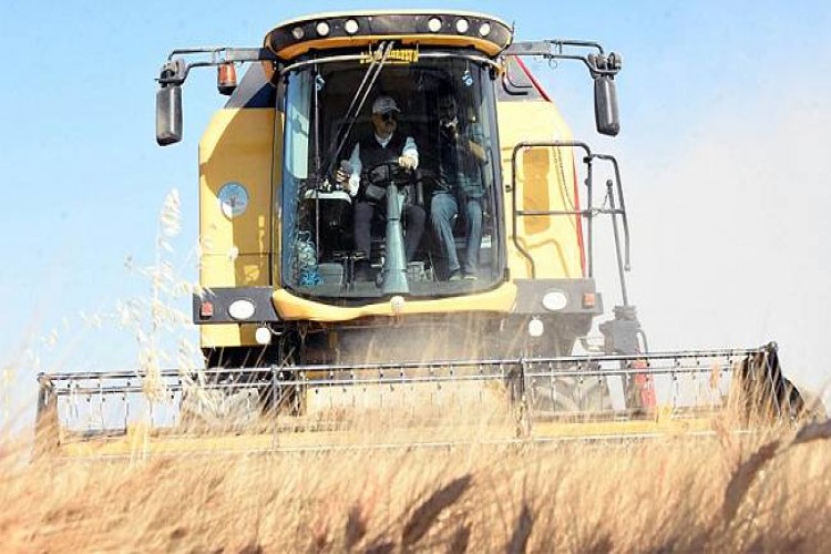 Bakan Pakdemirli Konya'da buğday hasadı yaptı