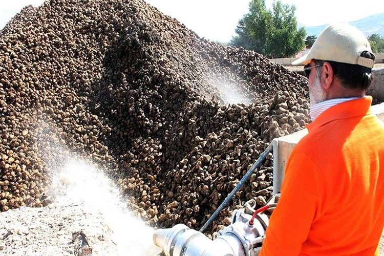 ‘Şeker’den Cargill maddesi çıktı