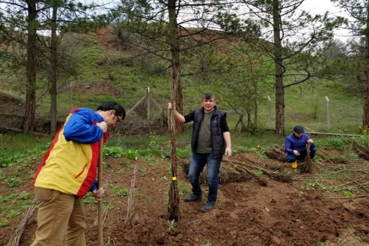 Çiftçilere Yüksek Verimli Ceviz Fidanı Dağıtıldı