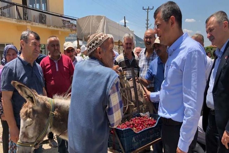 İşte üreticinin hali: Eşek sırtında kiraz…