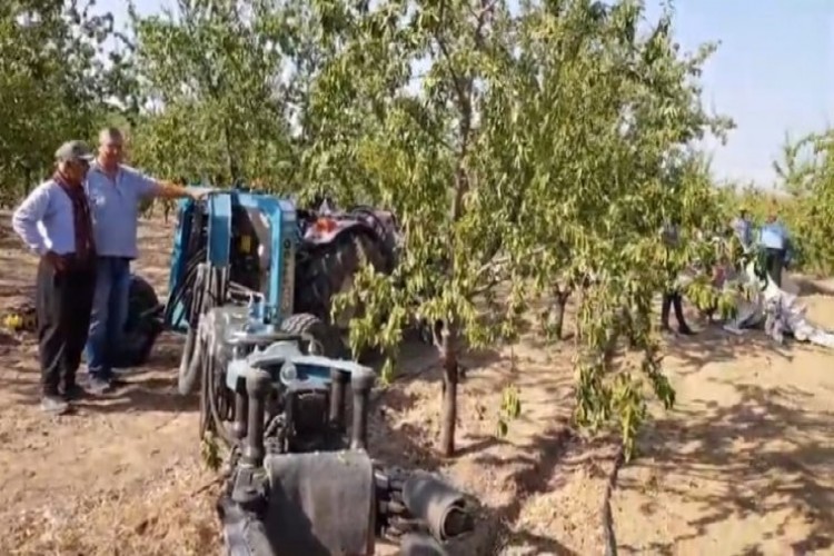 Badem hasat sezonu başladı