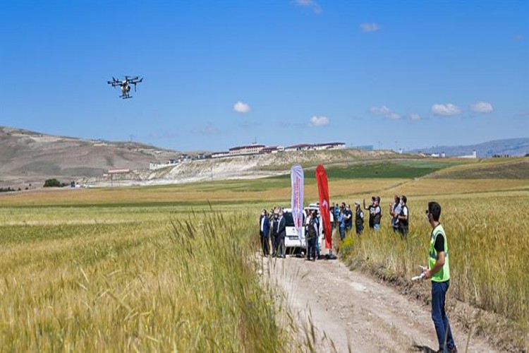 Kayseri'de süne ile mücadelede "drone" kullanıldı