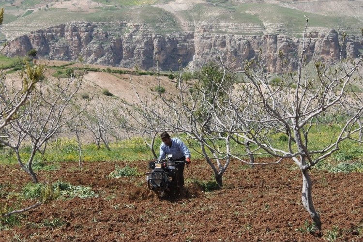 Aylık 6 Bin Liraya Çalıştıracak Tarım İşçisi Bulamıyorlar