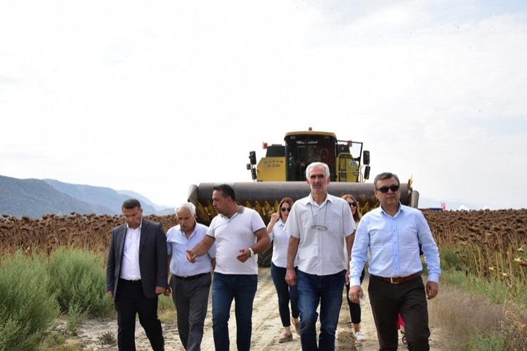 Antalya Korkuteli’de Ayçiçeği Tarla Günü Yapıldı