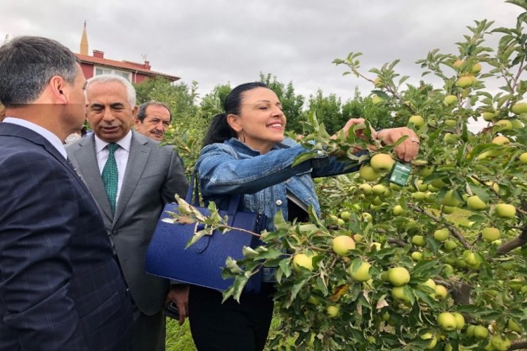 Tarlaya böcek salımı ekonomiye katkı sağlıyor