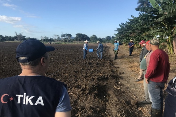 TİKA Aracılığıyla Yerli Nohut Küba’da Yetiştirilecek