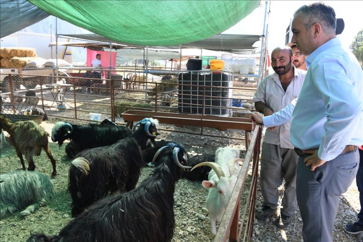 Başkan Esen: ‘Bayram hazırlıklarımız tamam’