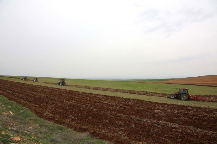 Büyükşehir’den 6 ilçeyle tarım işbirliği