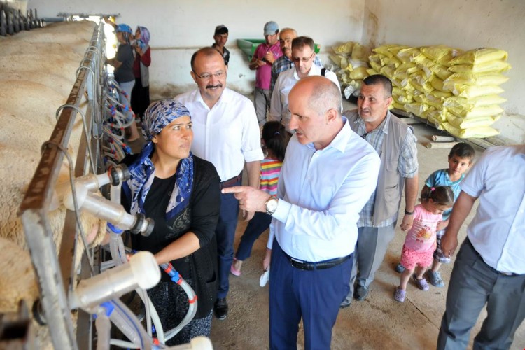 Vali Meral Kırsal Kalkınma Yatırımlarını Yerinde İnceledi