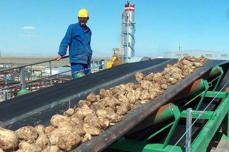 Şeker Sektörüne Kalifiye Eleman İçin İmzalar Atıldı