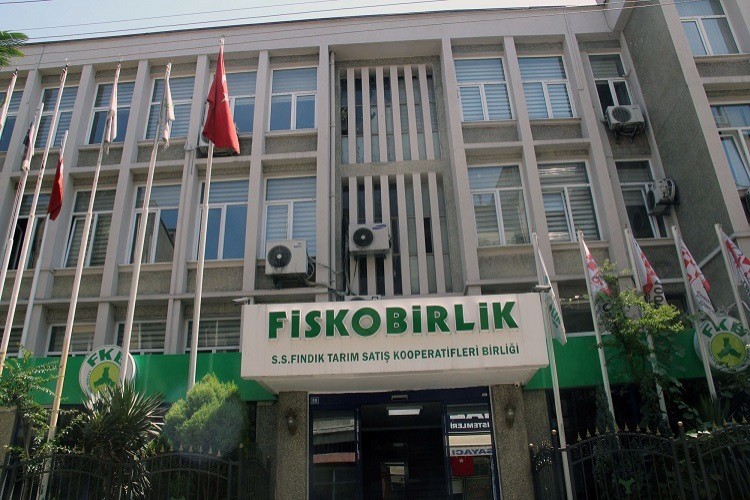 FİSKOBİRLİK TMO adına fındık alımına başladı