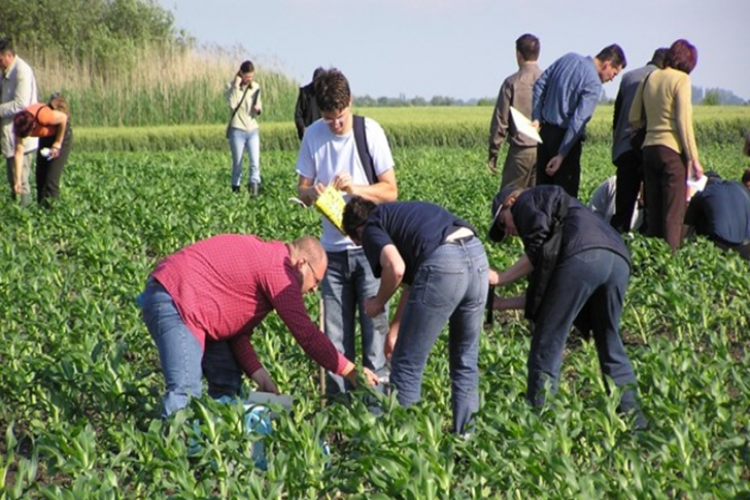 Duvarsız Okul; Uygulamalı Çiftçi Okulları