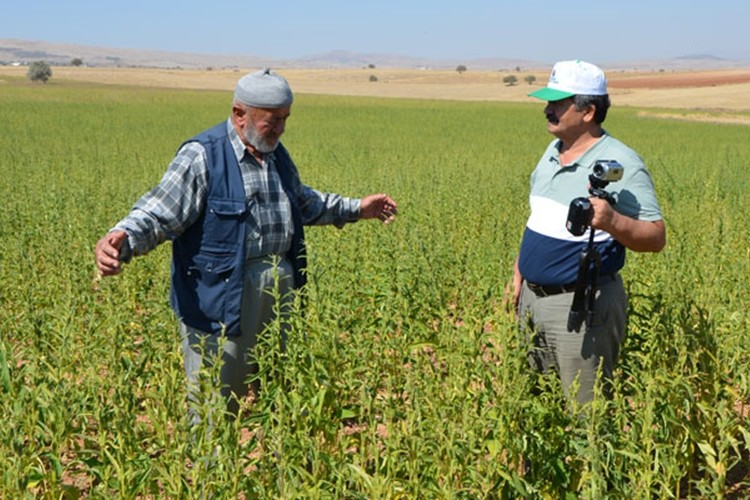 Meramı’mızı Anlatalım…