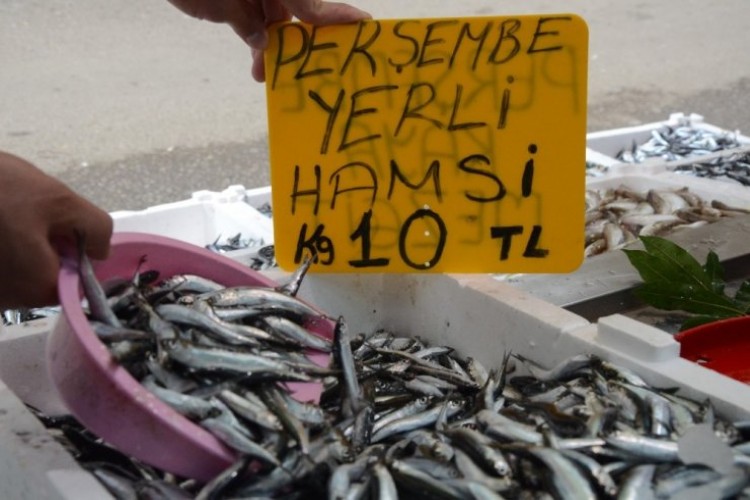 Denizden Hamsi Fışkırdı, Fiyatlar 10 Liraya Düştü